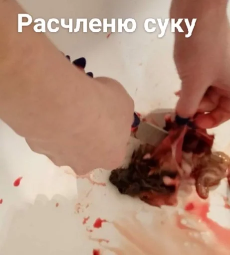 Стикер Что-то на животном :: @fStikBot - 10