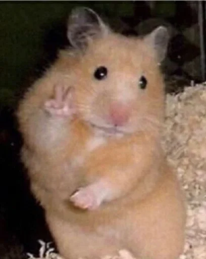 Стикер Что-то на животном :: @fStikBot - 9