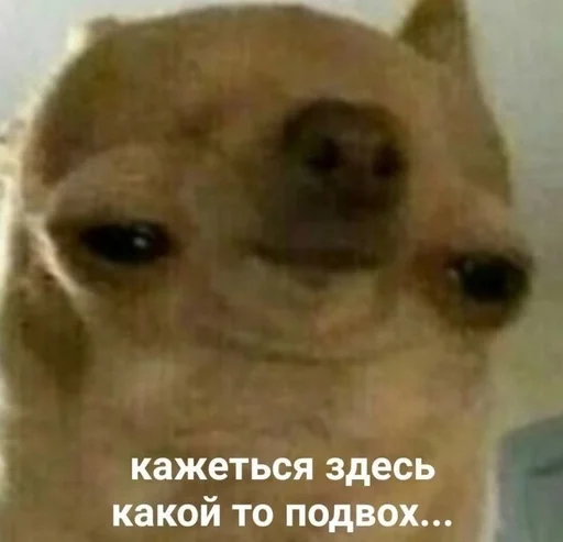 Стикер Что-то на животном :: @fStikBot - 1