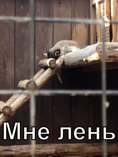 Sticker Ххахахахахха - 11