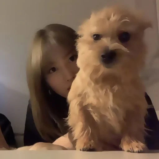 Стикер 🏸  // momo ✧ @ic4ndy !! - 9