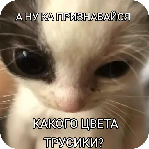 Стикер Hhh1573 - 1