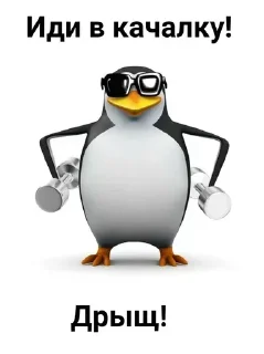 Sticker Жоские пингвины, - 8