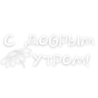 Стикер Доброе утро @tvoe_video - 5