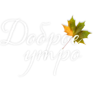 Стикер Доброе утро @tvoe_video - 8