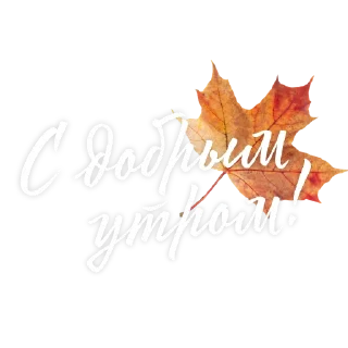 Стикер Доброе утро @tvoe_video - 6