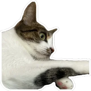 Стикер Хиханьки хаханьки - 8