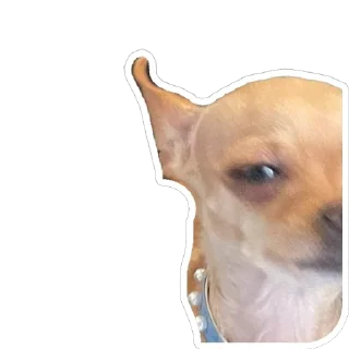 Стикер Хиханьки хаханьки - 11