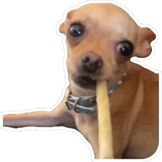 Стикер Хиханьки хаханьки - 5