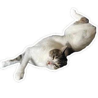 Стикер Хиханьки хаханьки - 2