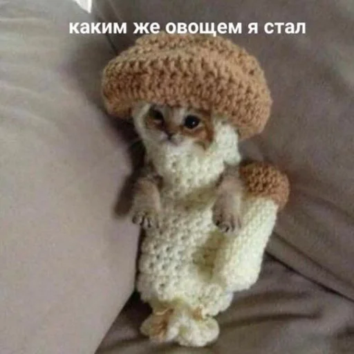 Тедди игрушка фаршированный