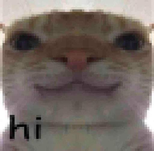 СМС кошка млекопитающее