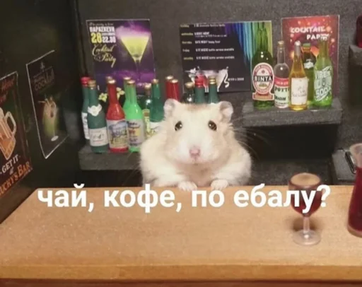 млекопитающее животное СМС