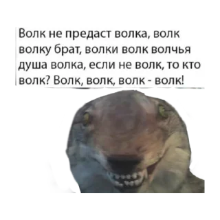 Стикер @GIF_ZANOZA - 11