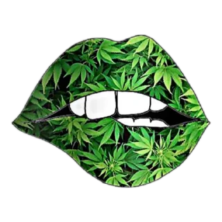 Стикер @GIF_ZANOZA - 7