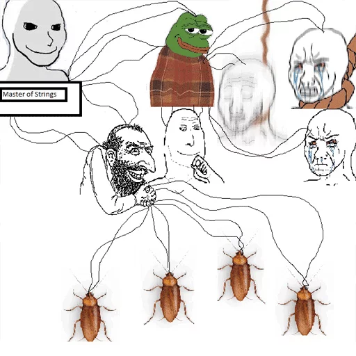 invertebrate insect drawing