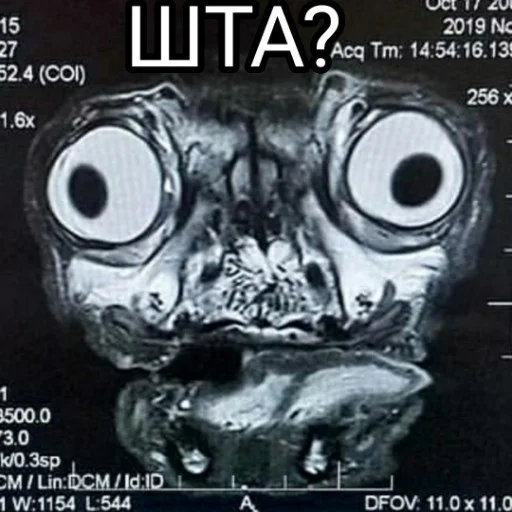 Sticker Himybitches - 1