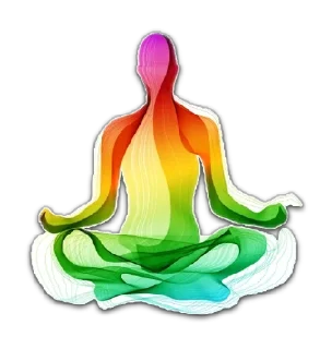 Стикер 🇮🇳India forever @stickersb2b - 1