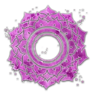 Стикер 🇮🇳India forever @stickersb2b - 8