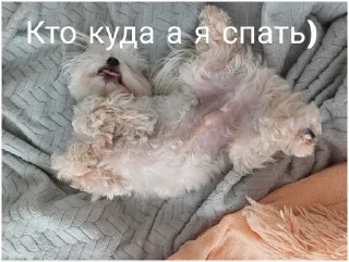 Sticker А я ни че? - 1