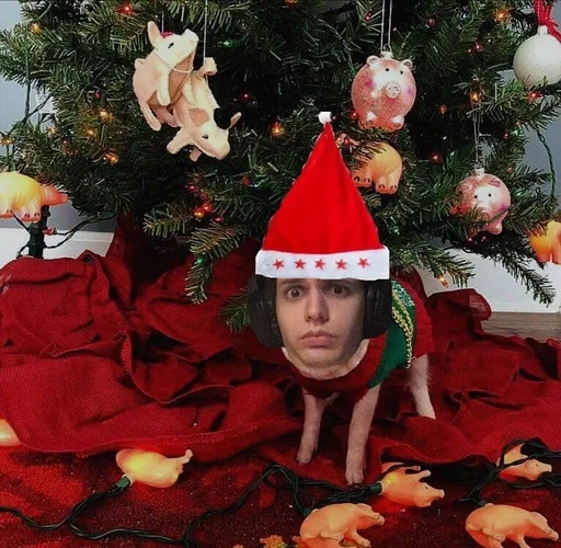 christmas tree christmas eve christmas decoration