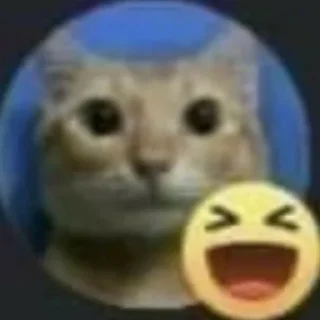 Стикер Kotiki - 1