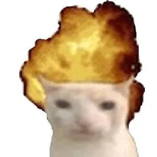 Стикер Kotiki - 0