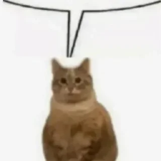 Стикер Kotiki - 4