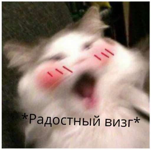 животное млекопитающее СМС