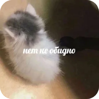 Sticker Хлебушек - 5