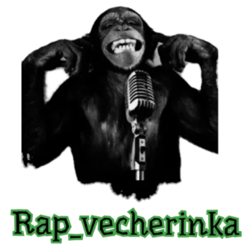 Rap_vecherinka by @stqrapp - 