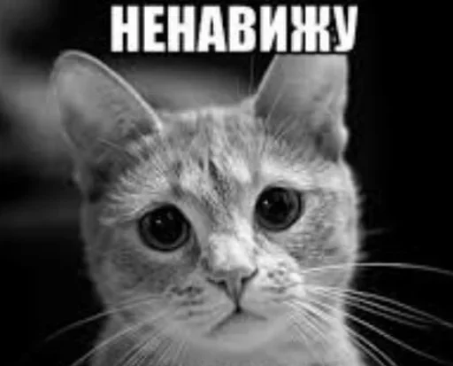 Sticker Hlorpidor - 1