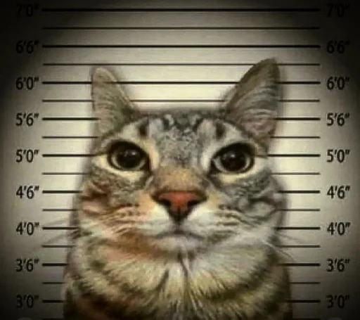 Sticker Hlorpidor - 1