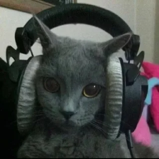 Sticker 🍅hlorpidor @hlorstik - 6