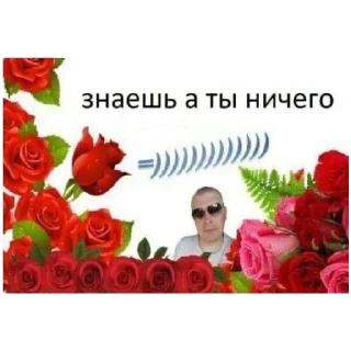 Sticker Больше стиков тут: @stikery4 - 1
