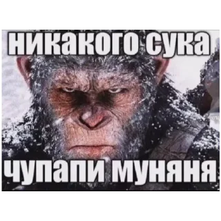 Sticker Больше стиков тут: @stikery4 - 6