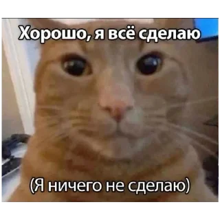 Sticker Больше стиков тут: @stikery4 - 2