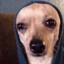 Sticker DOGS 🐶 - 11