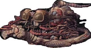 Sticker Tequila Sunset - 7