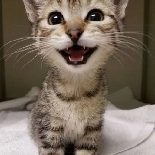 Sticker Ходолки бродилки - 9