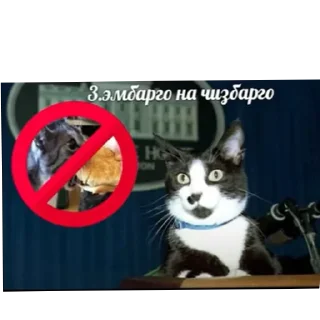 Sticker Хоечка - 9