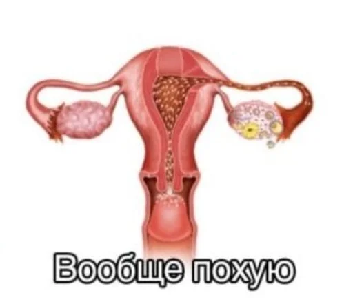 Стикер Fav stick :: @fStikBot - 9