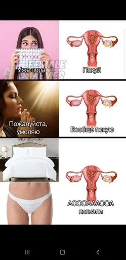 Стикер Fav stick :: @fStikBot - 4