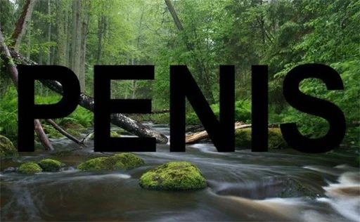 Стикер HohloKharyahah - 1