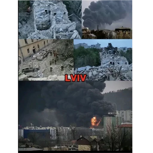 screenshot nature tree