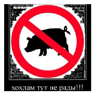 Стикер Хохлы - лохи - 7