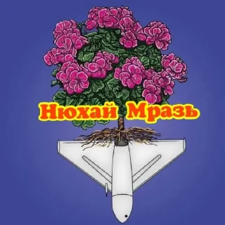 Sticker Хохлы_лохи - 7