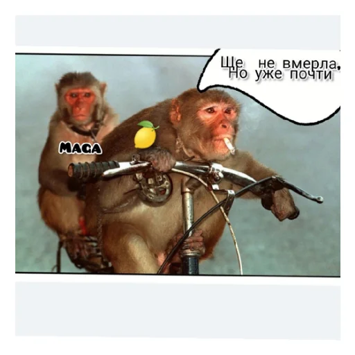 Хохлыкозлы - 