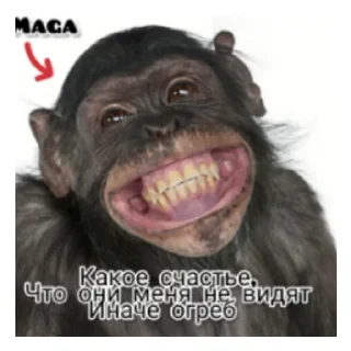 Стикер Хохлыкозлы - 9