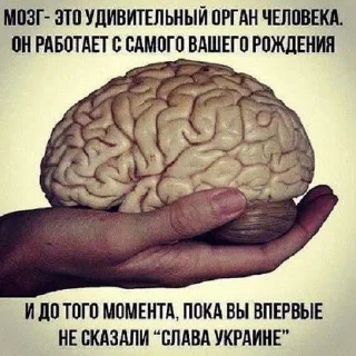 Sticker Хохлятина - 8